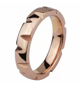 Кольцо из стали Everiot AAB-678RSS цвета розового золота