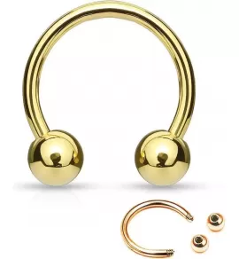 Циркуляр (подкова) PiercedFish GDPH серьга для септума, хеликса, трагуса, брови, губы, пупка, сосков, пирсинга смайл