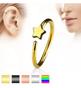 Серьга кольцо для пирсинга хеликса, трагуса, носа PiercedFish NOCR-12 в форме звезды