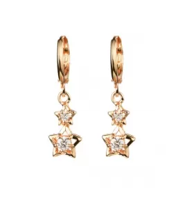 Серьги Everiot RR-XP-1063 из стали