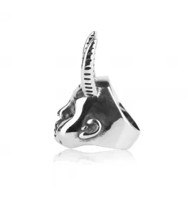 Мужской перстень череп демона TATIC SR-BR-102 из стали