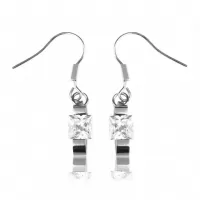 Серьги из стали Everiot AAB-ESS255 с квадратным фианитом