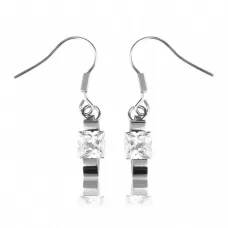 Серьги из стали Everiot AAB-ESS255 с квадратным фианитом