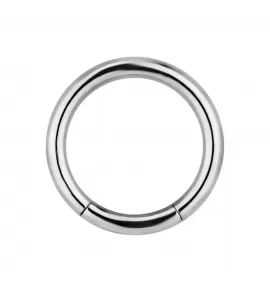 Сегментное кольцо из стали PiercedFish RSG серьга для пирсинга септума, хряща уха, брови, губы, носа, сосков, пупка