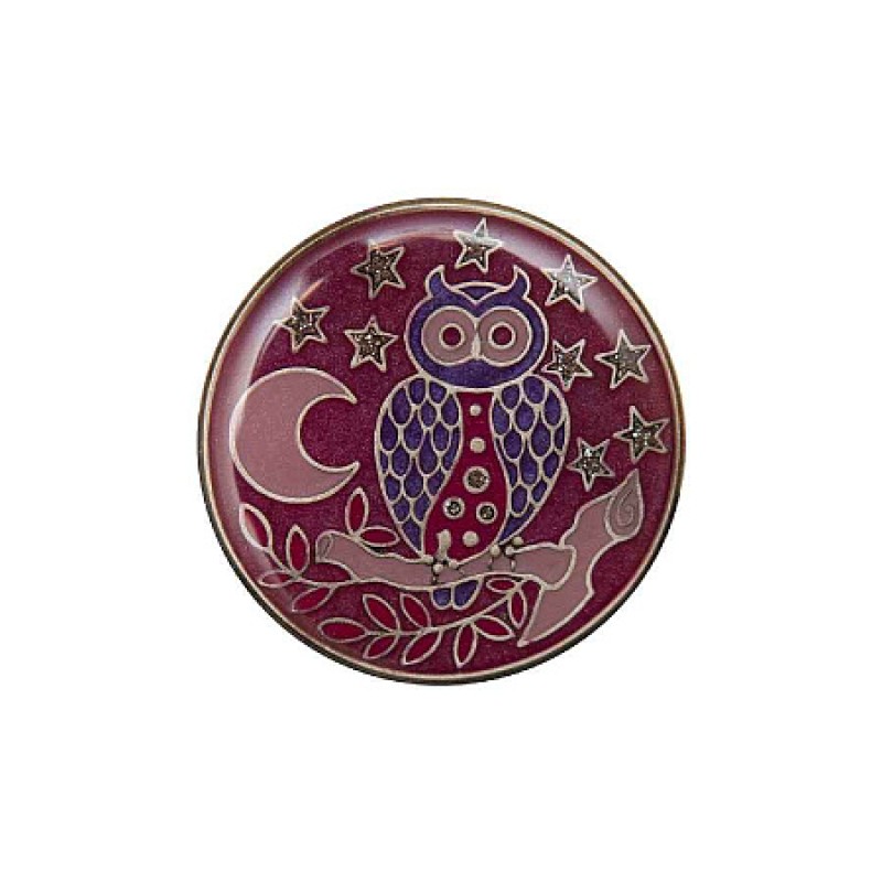 Брошь Сова Clara Bijoux F25156-6 V